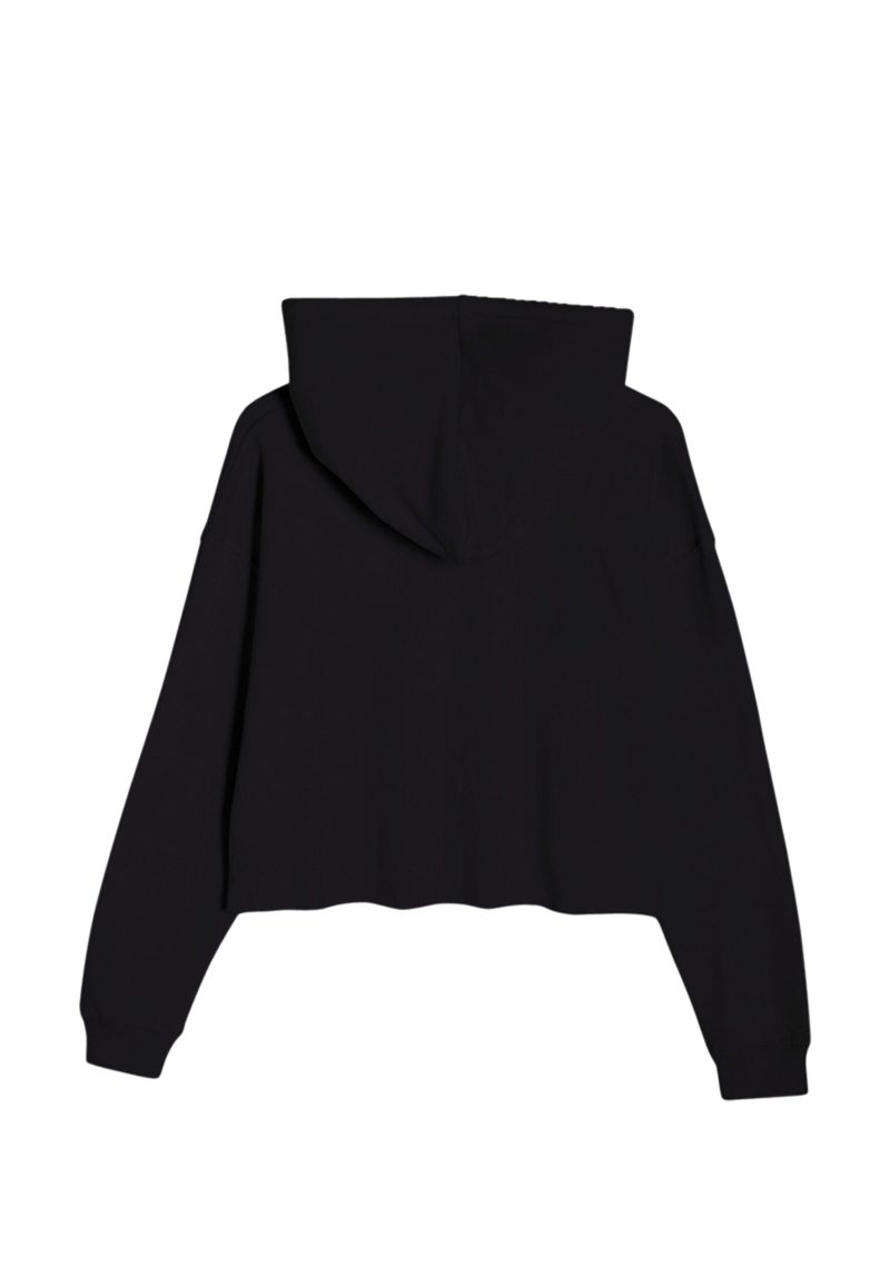 Lane Seven LS12000 Flat Crop Hoodie Black Back scaled 1