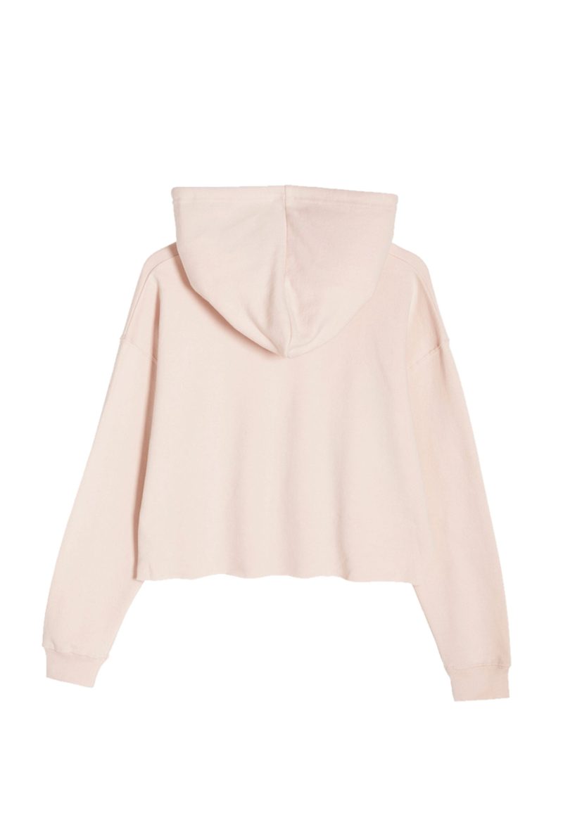 Lane Seven LS12000 Flat Crop Hoodie Pale Pink Back scaled 1