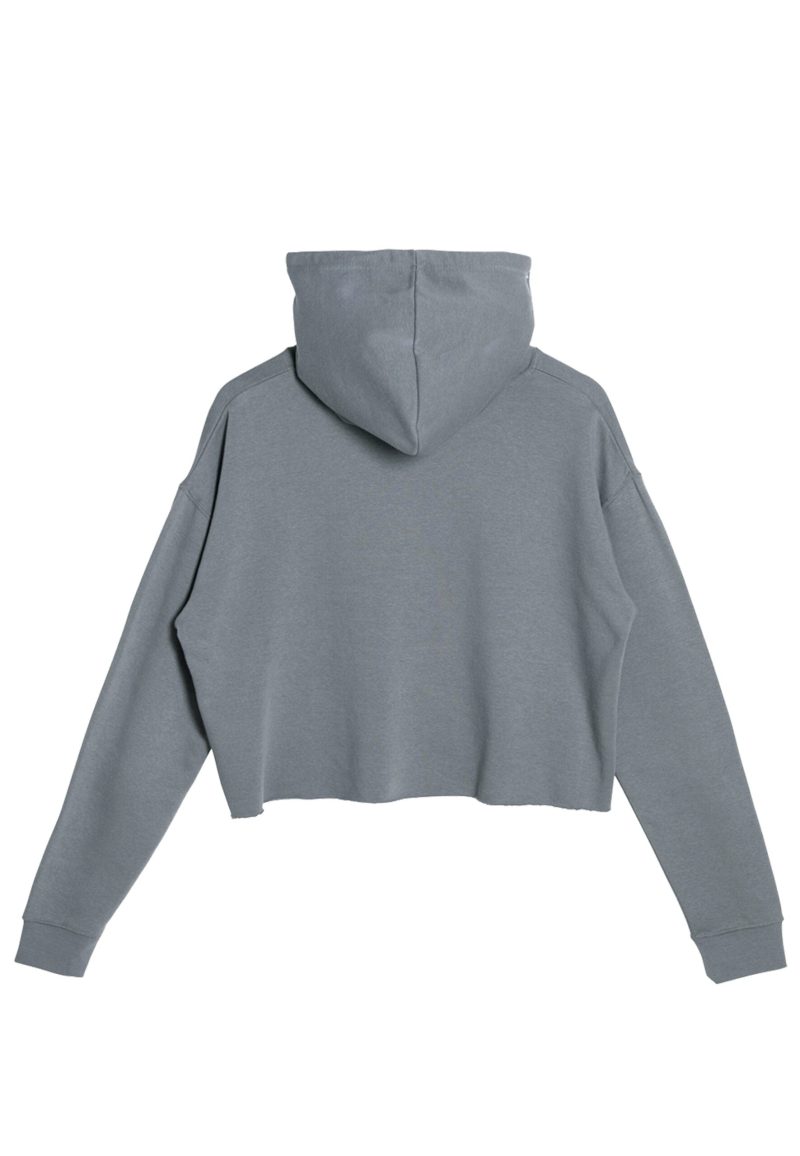 Lane Seven LS12000 Flat Crop Hoodie Storm Back scaled 1