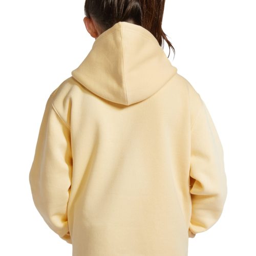 Lane Seven LS14001YH G Premium Youth Pullover Hoodie Pina Colada Back scaled 1